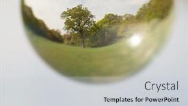  Presentation with springtime - Beautiful theme featuring lovely-slightly-distorted-view backdrop and a light gray colored foreground