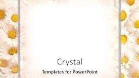  Presentation with floral - Presentation theme enhanced with lovely-spring-blooming-floral-text background and a white colored foreground