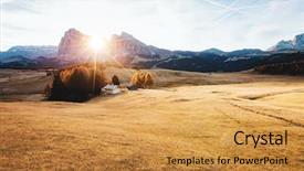  Presentation with pasture - Slides with lovely yellow pasture in sunlight background and a gold colored foreground