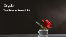  Presentation with sunlight - Colorful slide deck enhanced with funeral loving - rose in the sunlight backdrop and a wine colored foreground