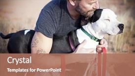  Presentation with tattoo - Audience pleasing PPT theme consisting of loving and beautiful dog backdrop and a coral colored foreground