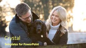  Presentation with pet - 