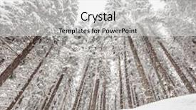  Presentation with pine trees - Beautiful slide set featuring low angle shot of snow backdrop and a white colored foreground