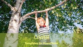  Presentation with tree - Slide deck with low angle view of happy background and a  colored foreground