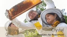  Presentation with honeycomb - Presentation design featuring low-angle-view-of-senior and a coral colored foreground