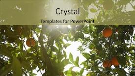  Presentation with shining - Slide set having our project positive delighted friendly colleagues wearing 3d glasses and looking at the windmill models while working in team background and a light gray colored foreground.