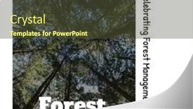  Presentation with low angle view of hockey - Presentation design featuring low-angle-view-of-trees background and a tawny brown colored foreground