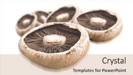  Presentation with healthy - PPT layouts having low calorie - healthy fresh mushrooms with very background and a coral colored foreground