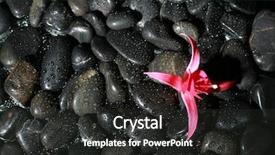  Presentation with pink river - Beautiful presentation design featuring low key studio shot of wet black shiny river rocks with one pink fuscia flower on it isolated on black backdrop and a dark gray colored foreground
