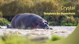  Presentation with kenya - Beautiful PPT theme featuring low-level-view backdrop and a tawny brown colored foreground