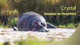  Presentation with kenya - Slide set with low-level-view background and a tawny brown colored foreground