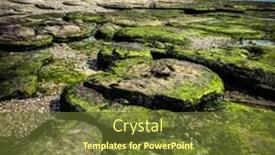  Presentation with tide - Cool new presentation with low-tide-stones-covered backdrop and a tawny brown colored foreground