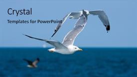  Presentation with vision - Beautiful presentation theme featuring low vision - blue sky and sea backdrop and a light blue colored foreground