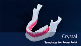  Presentation with human anatomy - Colorful presentation design enhanced with lower-human-jaw-with-teeth backdrop and a navy blue colored foreground