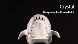  Presentation with black dental - Slides featuring lower-human-jaw-with-teeth background and a black colored foreground