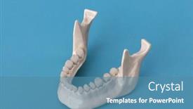  Presentation with jaw - PPT theme enhanced with lower-human-jaw-with-teeth background and a teal colored foreground