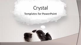  Presentation with black gold border vignette - Audience pleasing presentation theme consisting of loyal - cute black and white border backdrop and a white colored foreground