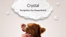  Presentation with brown and white - PPT layouts featuring loyal - cute brown and white border background and a sky blue colored foreground