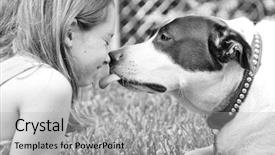  Presentation with sweet - Audience pleasing PPT theme consisting of loyal - dog giving girl sweet lick backdrop and a light gray colored foreground