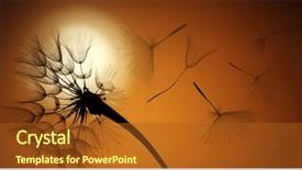  Presentation with dandelion - Amazing slide deck having lucking freedom - flying dandelion seeds backdrop and a tawny brown colored foreground