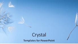  Presentation with businessproposal blue - Audience pleasing PPT theme consisting of lucking freedom - flying dandelion seeds backdrop and a light blue colored foreground