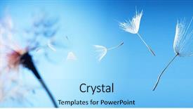  Presentation with dandelion - Slides featuring lucking freedom - flying dandelion seeds background and a arctic colored foreground