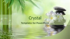  Presentation with lucky bamboo - PPT layouts having lucky bamboo - spa concept zen basalt stones background and a mint green colored foreground