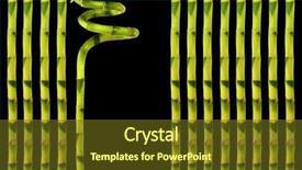  Presentation with lucky bamboo - Amazing presentation theme having lucky bamboo leaf grass abstract design over black background backdrop and a tawny brown colored foreground