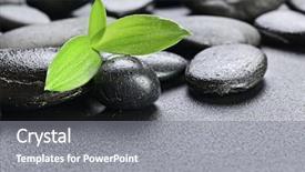  Presentation with lucky bamboo - Colorful slides enhanced with lucky bamboo on the black backdrop and a gray colored foreground