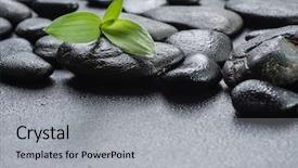  Presentation with lucky bamboo - Slide set with lucky bamboo on the black background and a light gray colored foreground