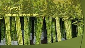  Presentation with lucky bamboo - Slides with lucky bamboo background and a tawny brown colored foreground