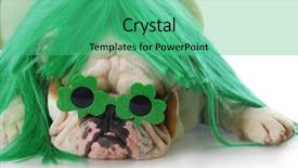  Presentation with olde english - Audience pleasing PPT layouts consisting of lucky day - english bulldog wearing green wig backdrop and a seafoam green colored foreground