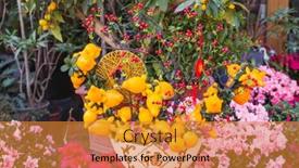  Presentation with new year card - Colorful PPT theme enhanced with lucky-knot-hanging-on-flower backdrop and a gold colored foreground