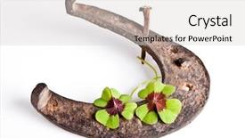  Presentation with four leaf clover - Slides having shoe and four-leaf clover background and a light gray colored foreground