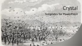  Presentation with journal - Colorful PPT theme enhanced with lucu - old illustration of ducks backdrop and a light gray colored foreground