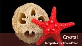  Presentation with black chalkboard vintage blackboard isolated - Cool new presentation theme with lufe - loofah isolated on black backdrop and a  colored foreground