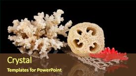  Presentation with black chalkboard vintage blackboard isolated - Beautiful slide deck featuring lufe - loofah isolated on black backdrop and a  colored foreground