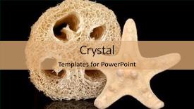  Presentation with black chalkboard vintage blackboard isolated - Presentation consisting of lufe - loofah isolated on black background and a  colored foreground