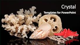  Presentation with black chalkboard vintage blackboard isolated - Audience pleasing presentation consisting of lufe - loofah isolated on black backdrop and a  colored foreground