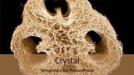  Presentation with black chalkboard vintage blackboard isolated - Audience pleasing slide set consisting of lufe - loofah isolated on black backdrop and a  colored foreground