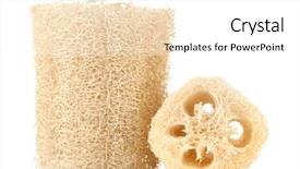  Presentation with monarch butterfly isolated on white - PPT theme with lufe - loofah isolated on white background and a  colored foreground