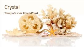  Presentation with history earth globe isolated white - Amazing PPT theme having lufe - loofah isolated on white backdrop and a  colored foreground