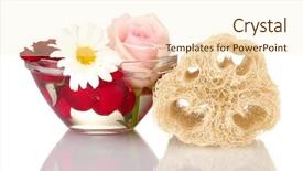  Presentation with angled loofah sponge gourd - Slides enhanced with lufe - loofah isolated on white background and a  colored foreground