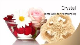  Presentation with white - Slide deck featuring lufe - loofah isolated on white background and a  colored foreground