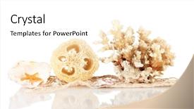  Presentation with white - Slides with lufe - loofah isolated on white background and a  colored foreground