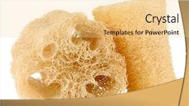  Presentation with angled loofah sponge gourd - PPT theme with lufe - loofah isolated on white background and a  colored foreground