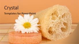  Presentation with color - Audience pleasing theme consisting of lufe - loofah on color background backdrop and a  colored foreground