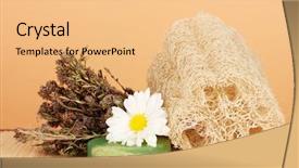  Presentation with color - PPT layouts enhanced with lufe - loofah on color background background and a  colored foreground