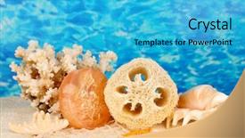  Presentation with treble clef teal color - Theme enhanced with lufe - loofah on color background background and a  colored foreground