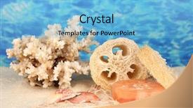  Presentation with skin color natural lavender lemon - Audience pleasing PPT layouts consisting of lufe - loofah on color background backdrop and a  colored foreground